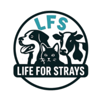 lifeforstrays.org