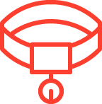 Safe Shelter and Lifelong Care