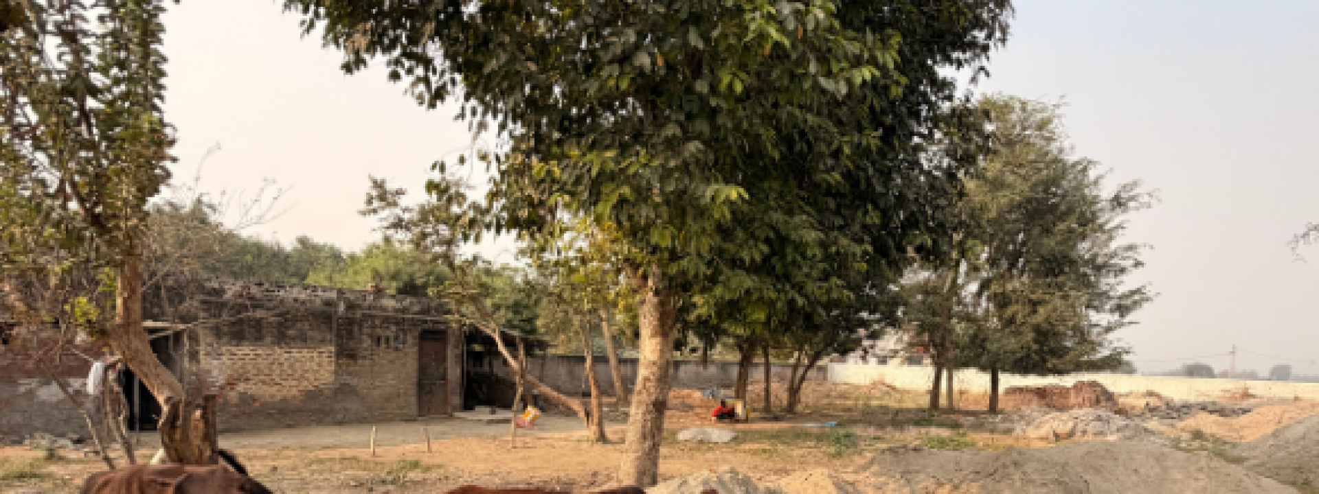 Untitled design (37)