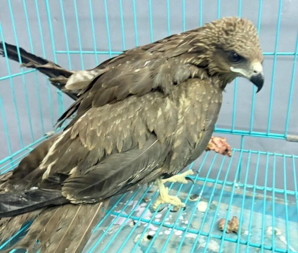 imgi_11_IMG-20251101-WA0044-768x1024