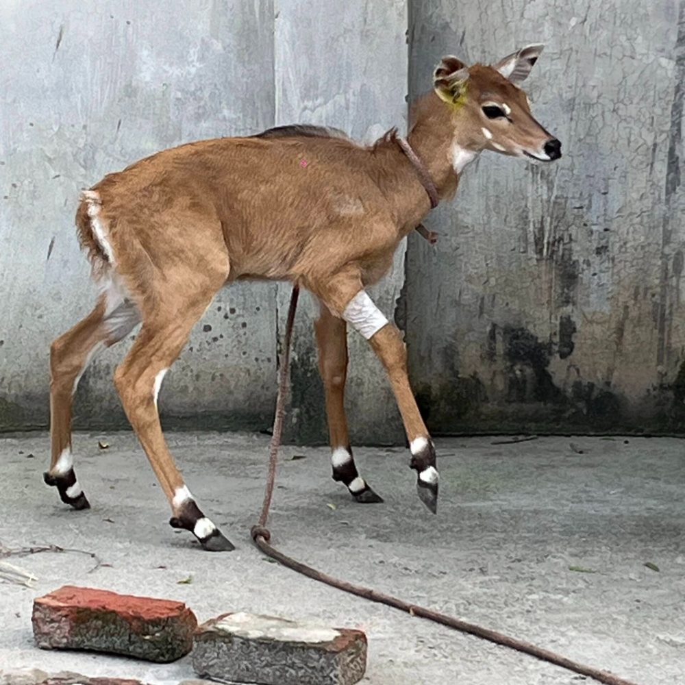 imgi_56_IMG_8676-scaled